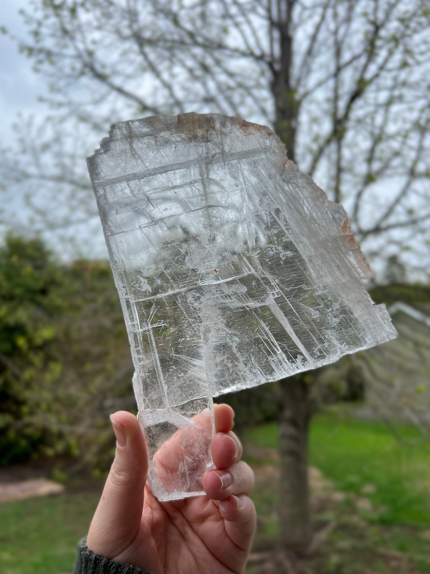 Window Selenite