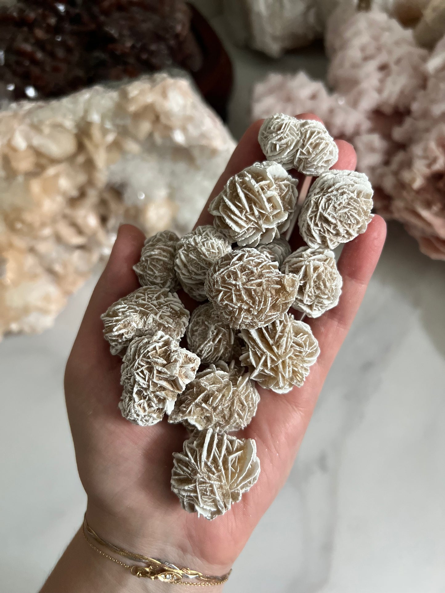 Desert Rose