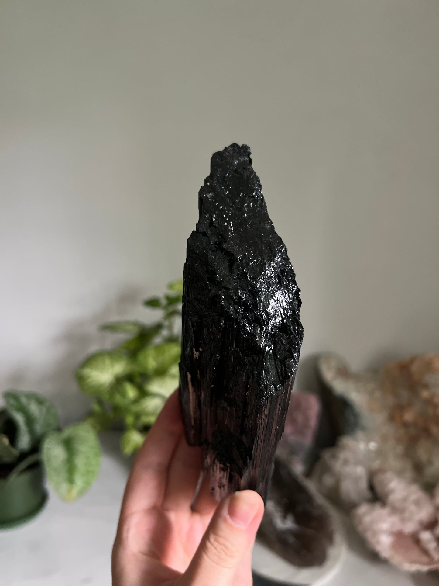 Black Tourmaline