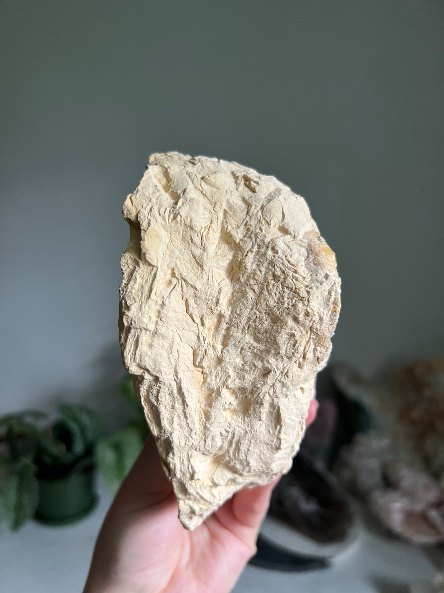 Calcite Geode