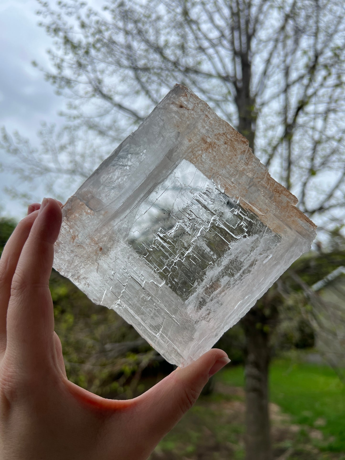 Window Selenite
