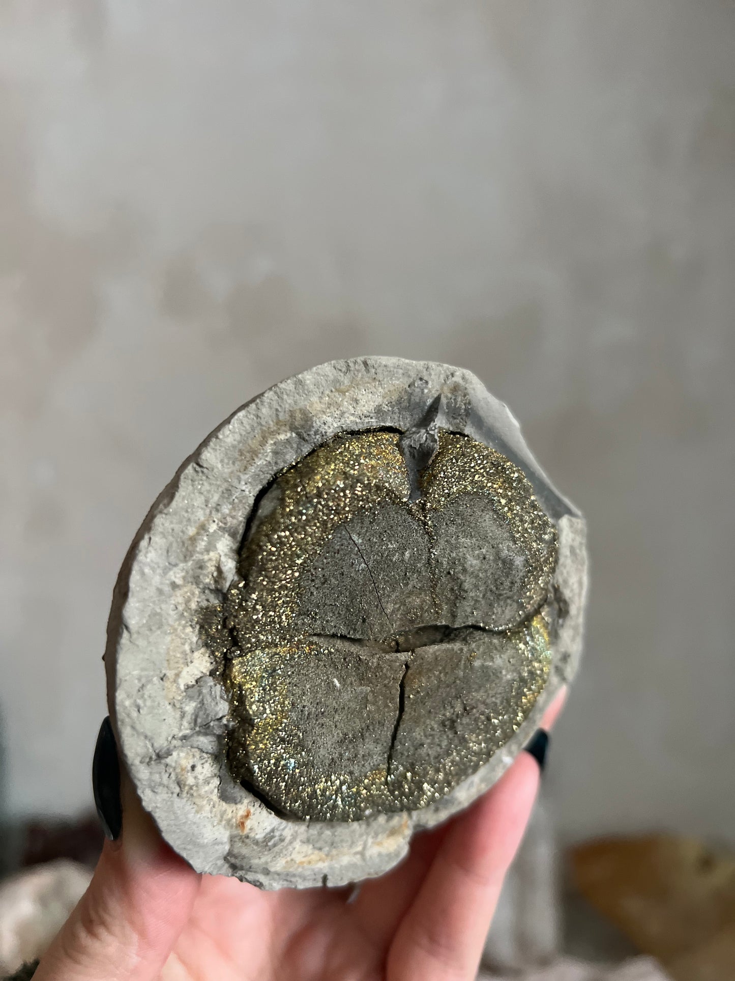 Pyrite Nodule