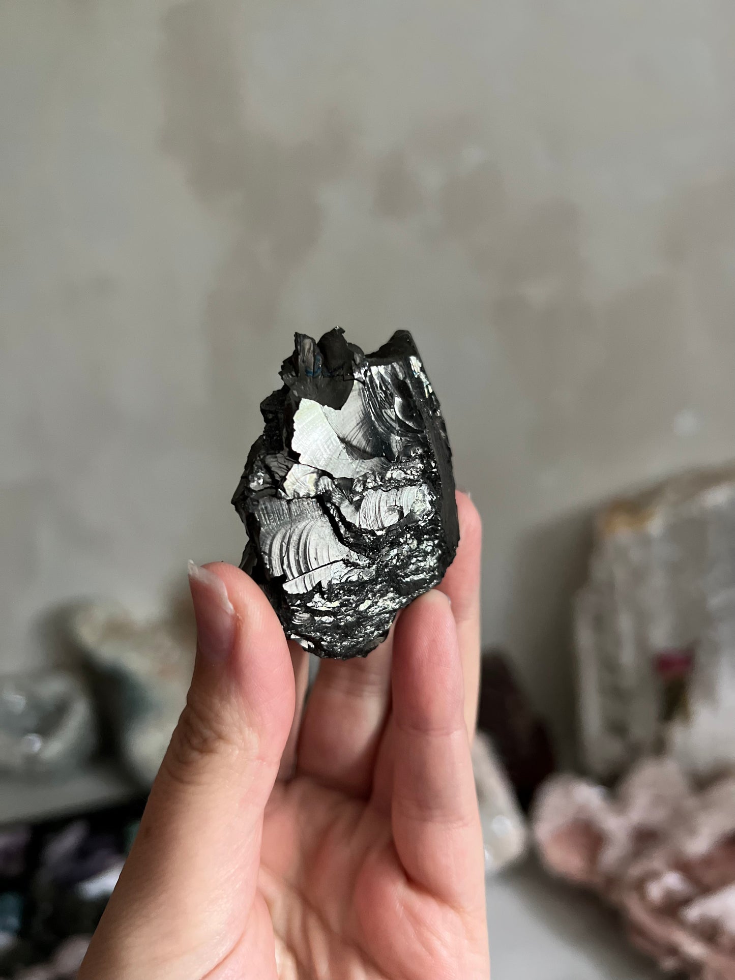 Noble Shungite
