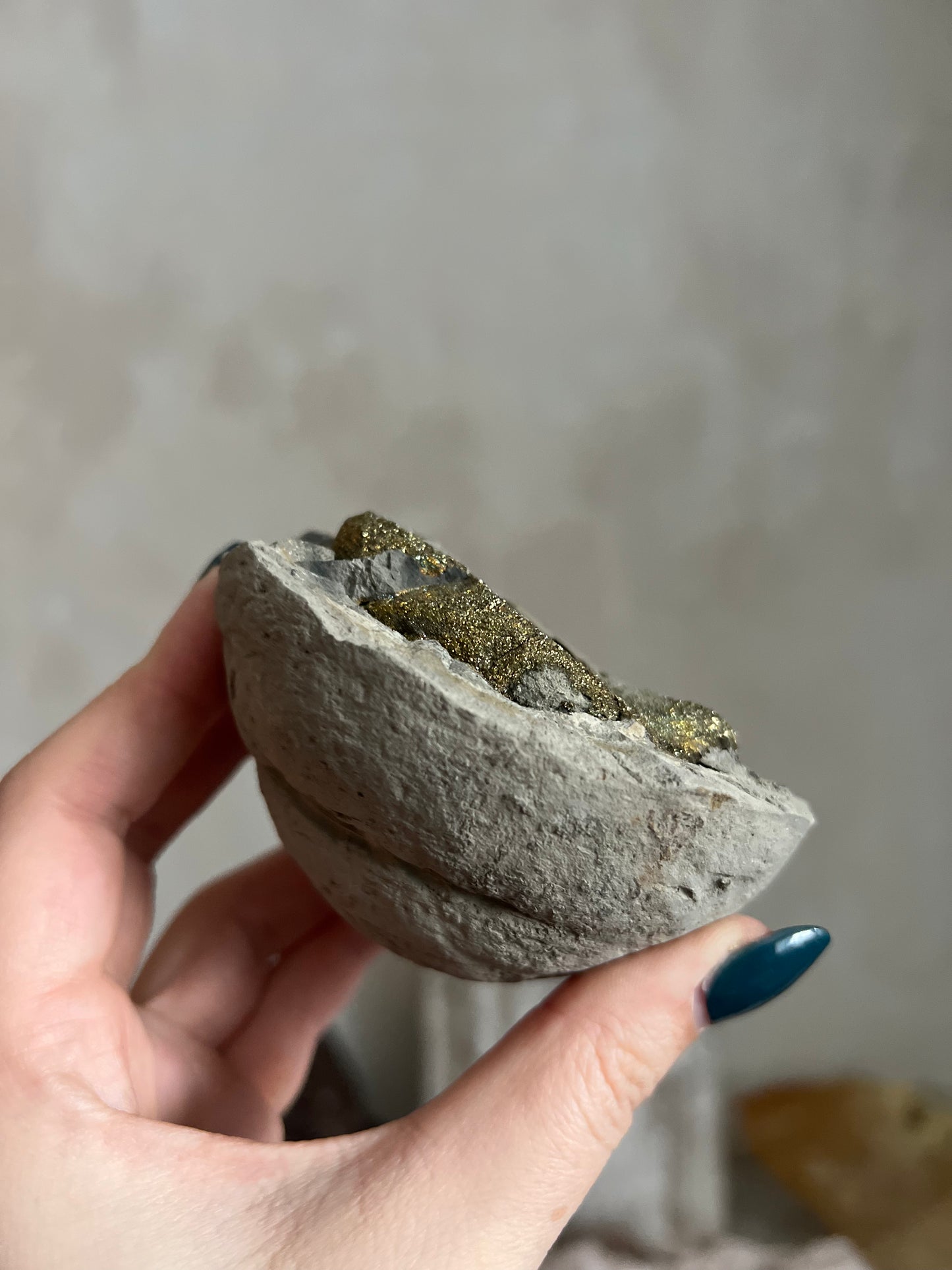 Pyrite Nodule