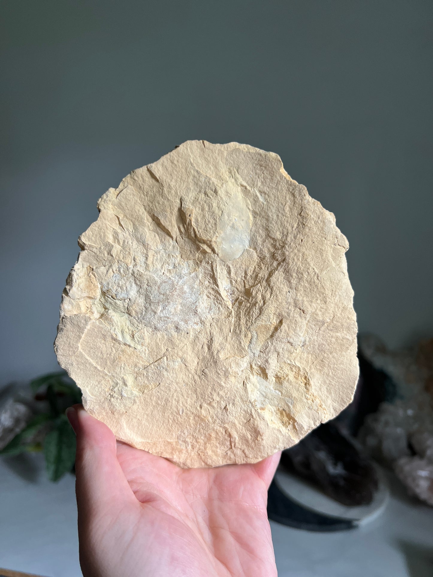 Calcite Geode