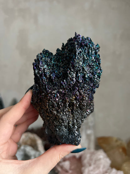 Rainbow Carborundum