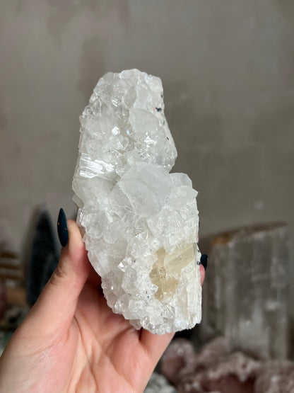 Apophyllite
