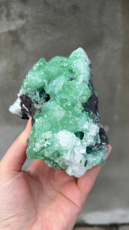 Green Apophyllite