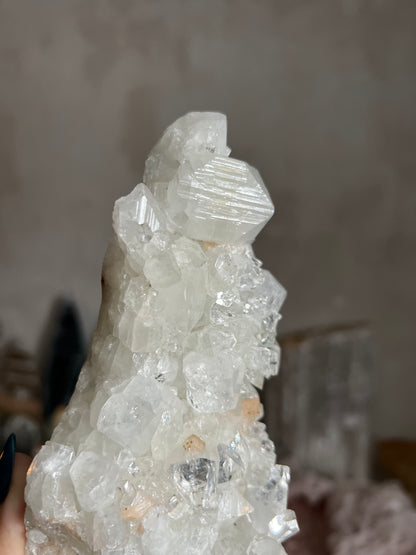 Apophyllite Cluster