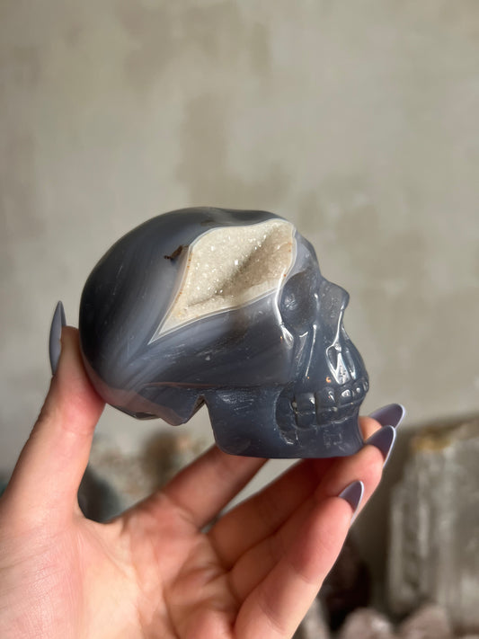 Druzy Agate Skull