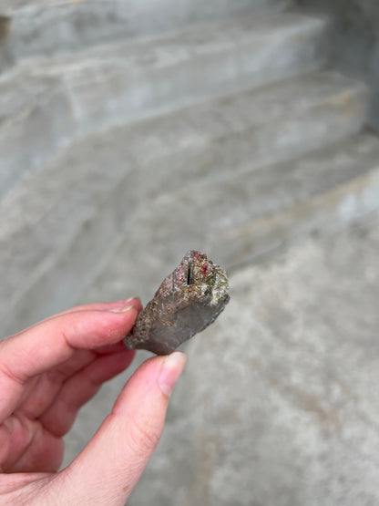 Tourmalated Quartz Bundle