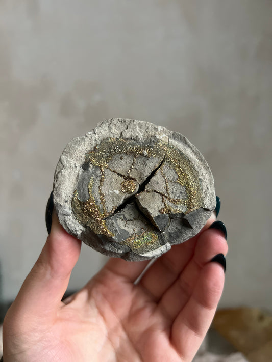 Pyrite Nodule