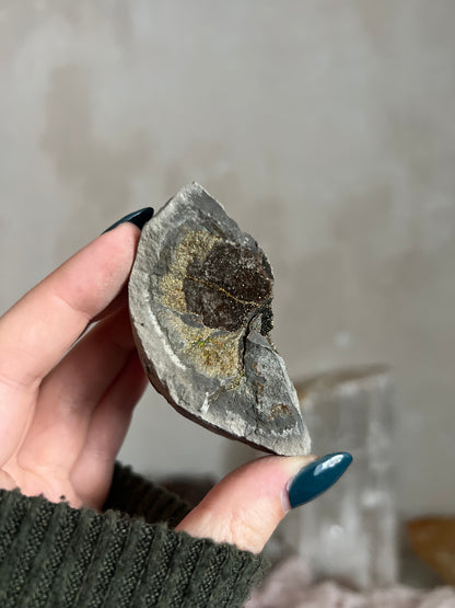 Pyrite Nodule