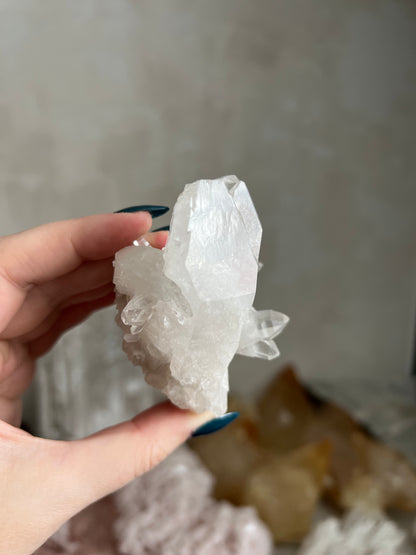 Lemurian Quartz Cluster