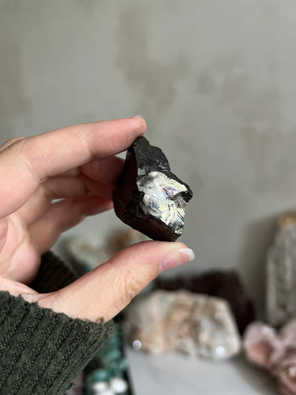Noble Shungite