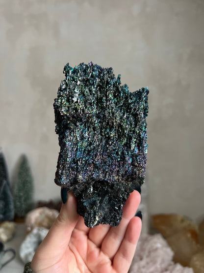 Rainbow Carborundum