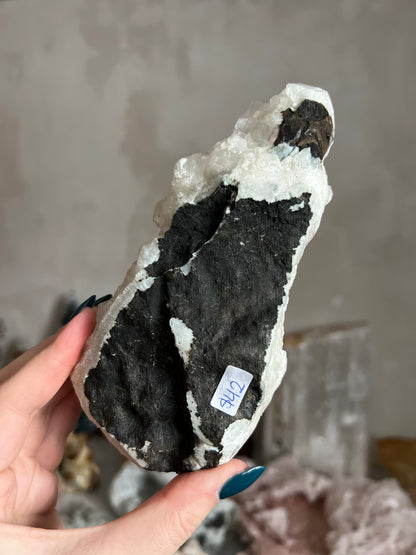 Apophyllite Cluster